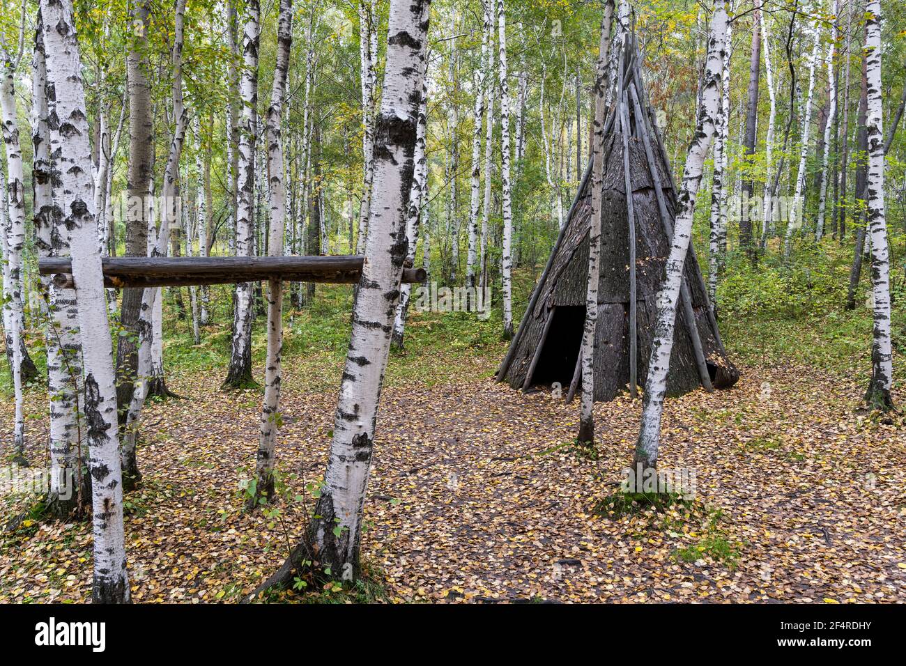 Taltsy, Russia - September 5, 2019: Wooden bark tent in a birch forest in the Taltsy Museum Siberia, Russia. Stock Photo