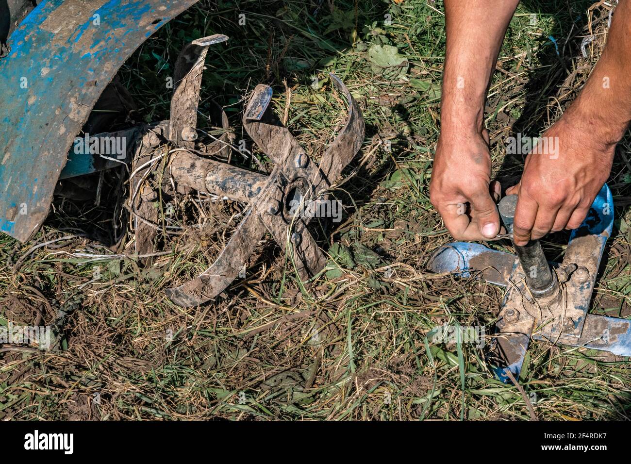 An unrecognizable farmer repairs a hand-held motor plow. Agricultural machinery: cultivator for tillage in the garden, motorized hand plow. Authentic Stock Photo