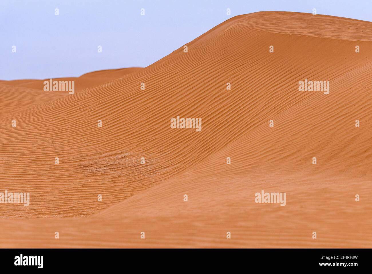 Bend of the ridge of a sand dune in the desert Stock Photo - Alamy