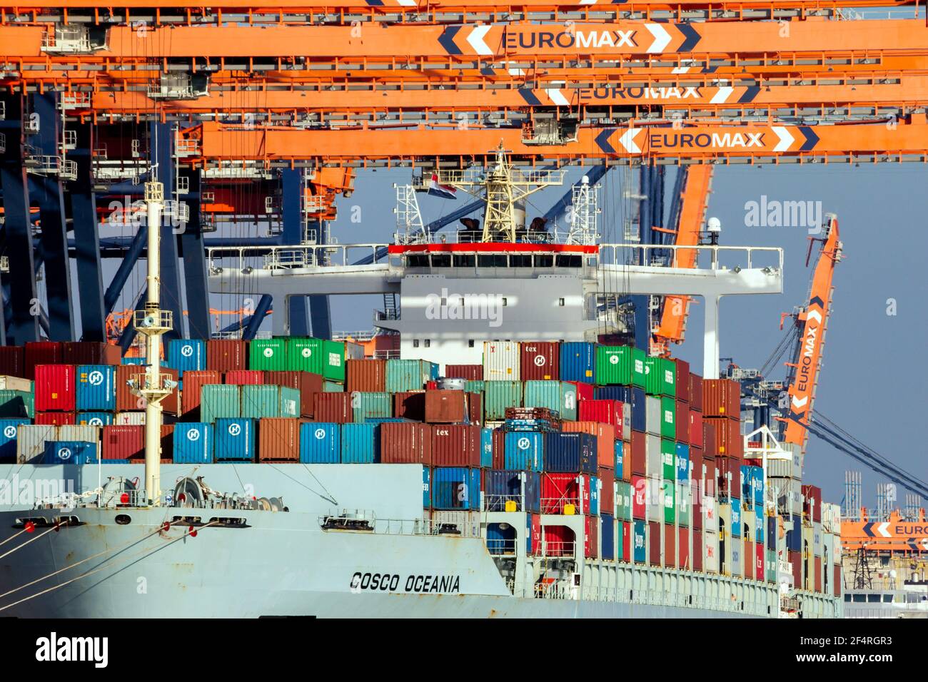 Container ship unloaded by gantry cranes at the Euromax Terminal in the ...