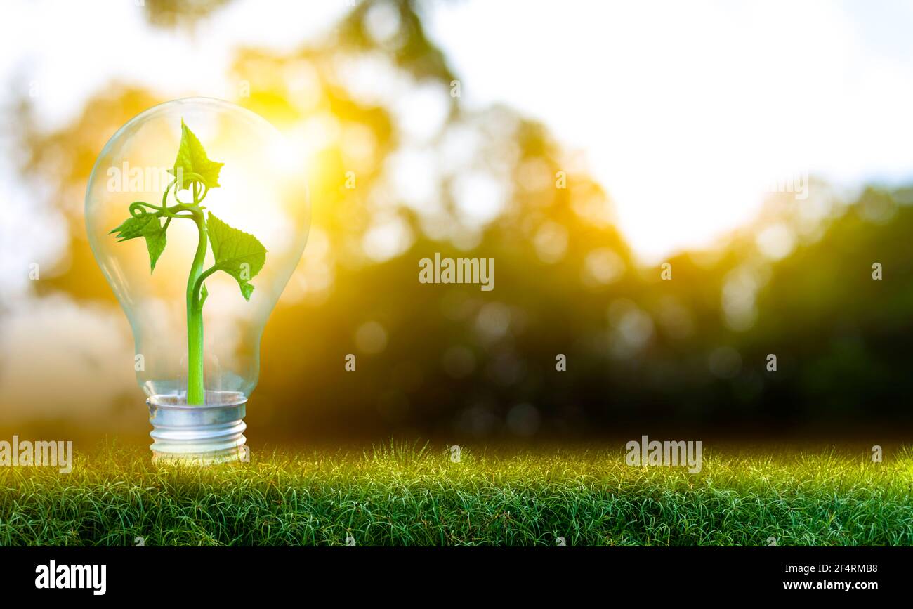 3D illustration Renewable energy concept Earth Day or environmental ...