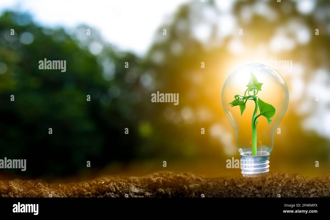 3D illustration Renewable energy concept Earth Day or environmental ...