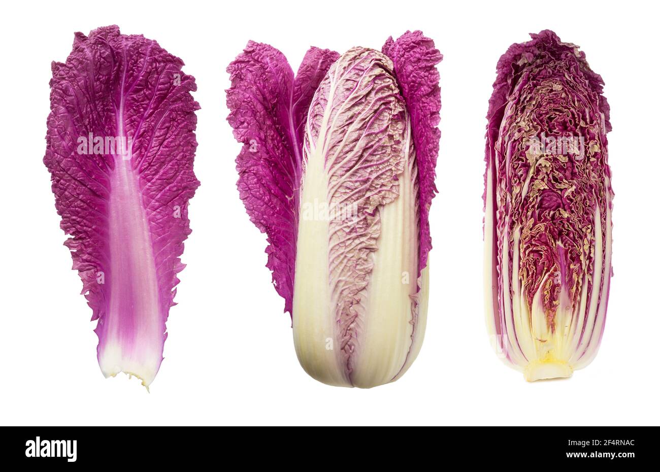 Purple napa cabbage on white. Purple chinese cabbage isolated on white background. Set of chinese cabbage (leaf, head of cabbage and half). Stock Photo
