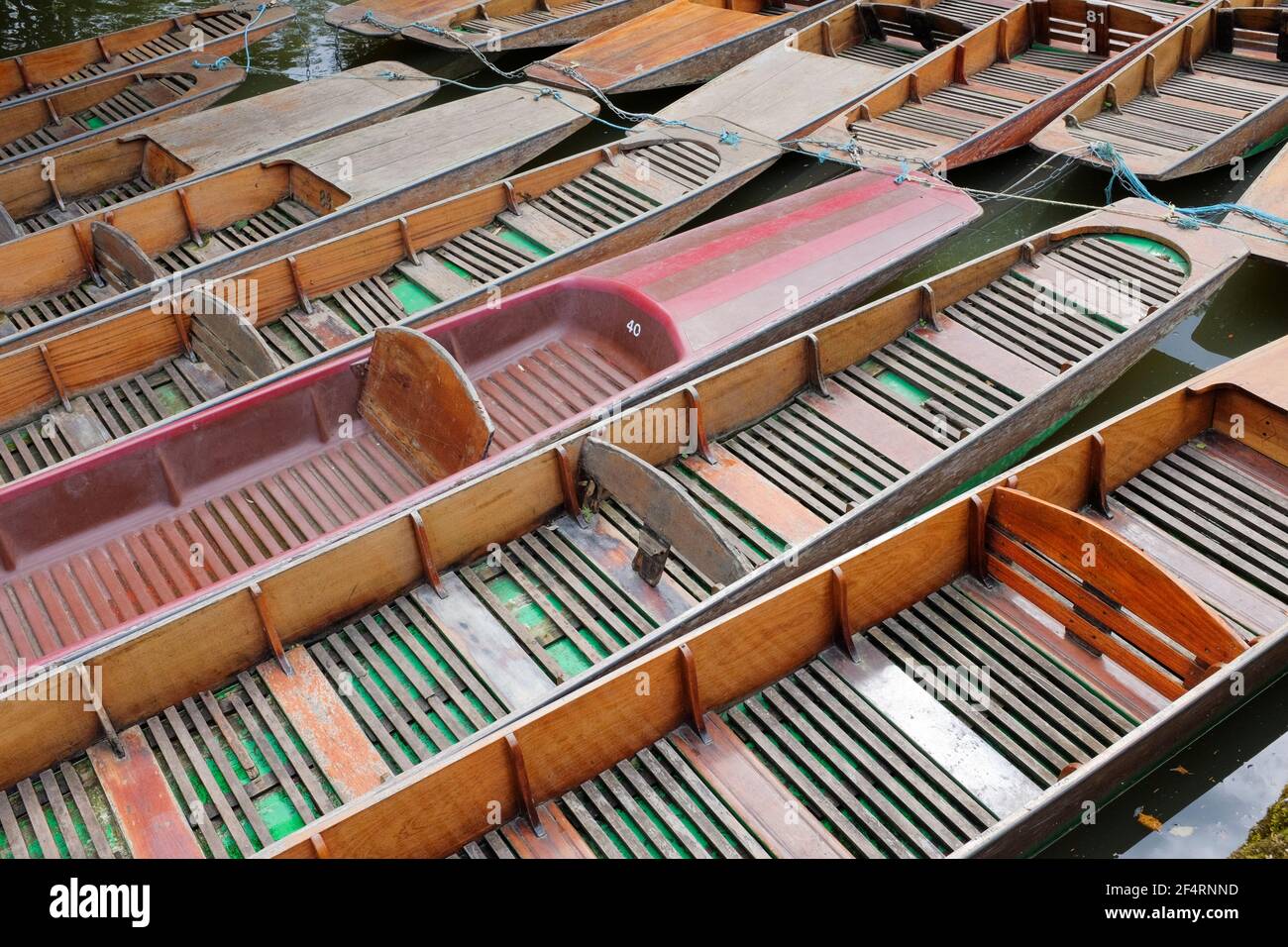 Punts for hire moored on the river Cherwell, Magdalen bridge, Oxford, England, UK Stock Photo