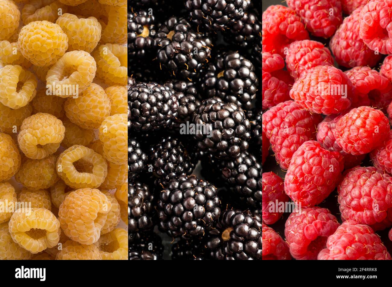 Background of blackberry, yellow and red raspberry. Fresh berries closeup.  Top view. Background of fresh berries red, yellow and black color. Immunity  Stock Photo - Alamy