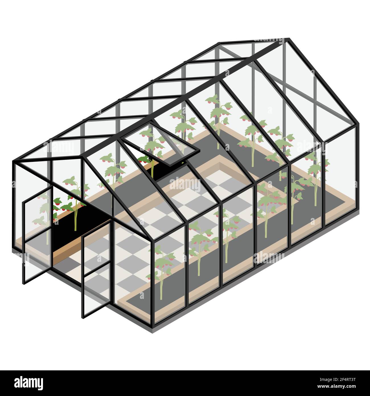Greenhouse at an organic farm. Growing tomatoes isometric view. Glass