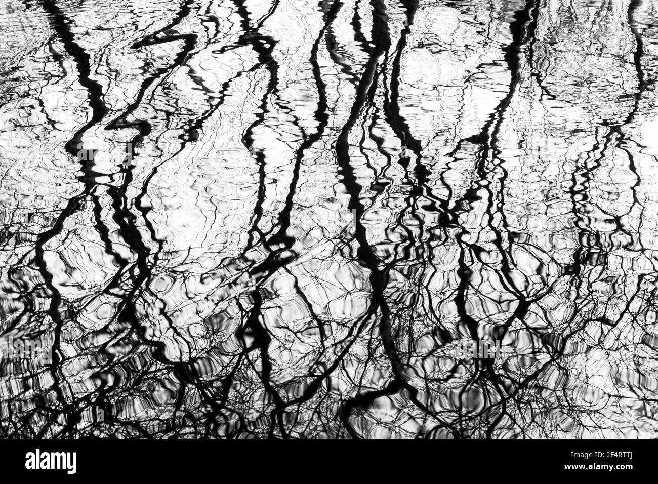 Black and white abstract of reflections in water. Stock Photo