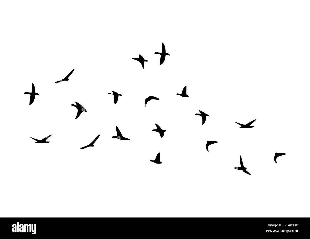 Flock of flying birds isolated on white background. Vector Stock Vector ...