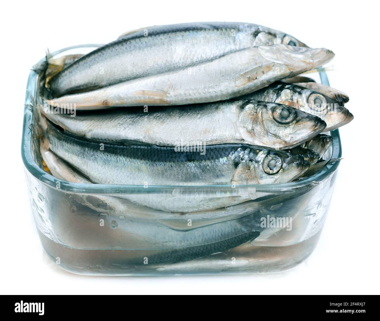 Salted in fine brine small ocean fish Stock Photo