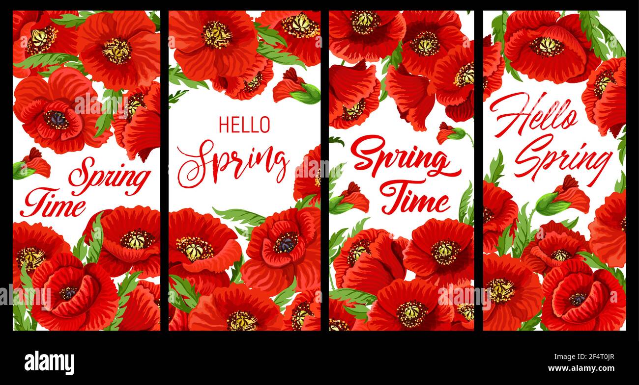 Red poppy flowers spring banners. Springtime celebration posters with flowering common or field poppy on white background. Flowers with red petals, bl Stock Vector