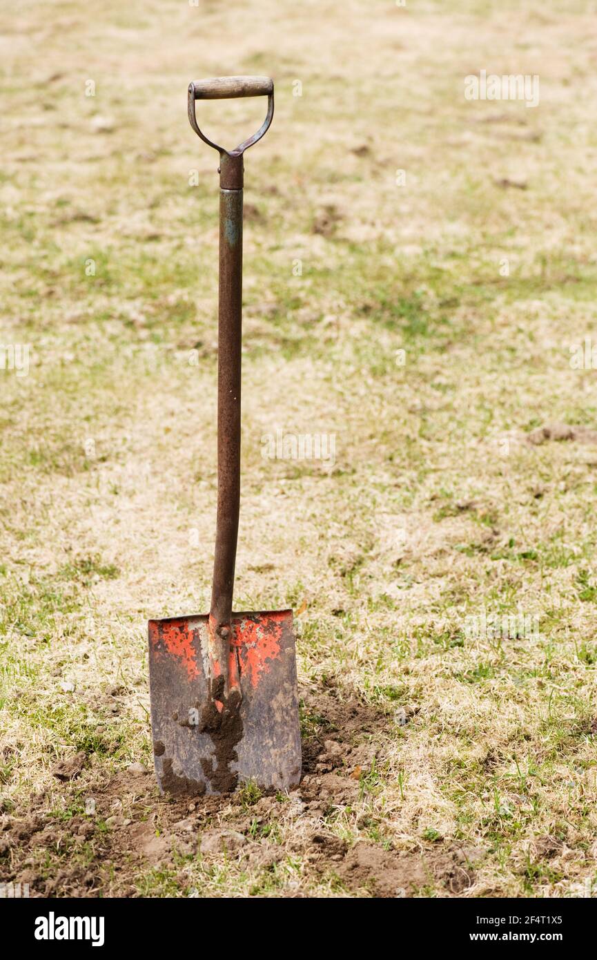 Spade pushed in the dirt. Stock Photo