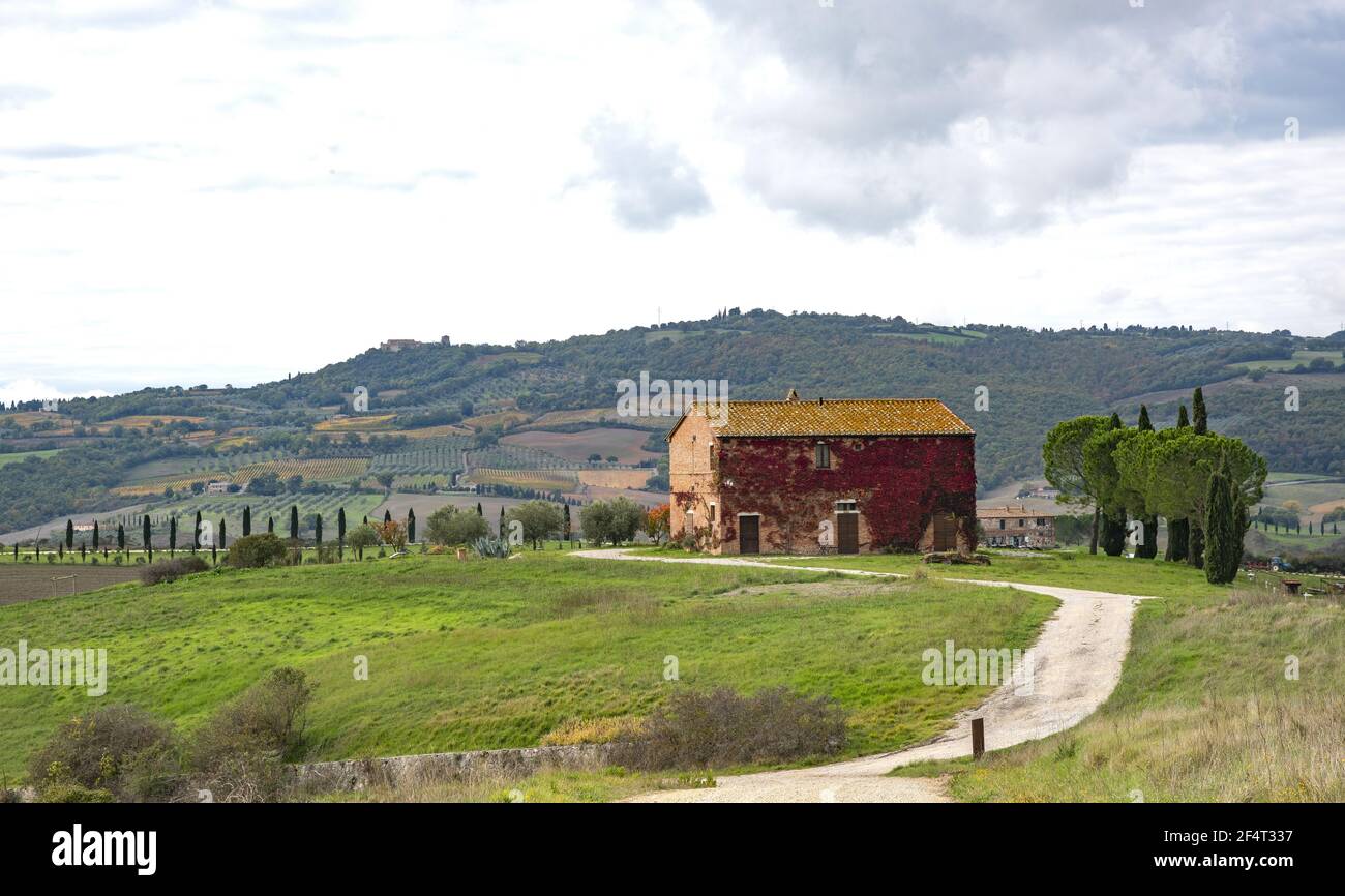 Typical rural farmhouse in Val d'Orcia Stock Photo