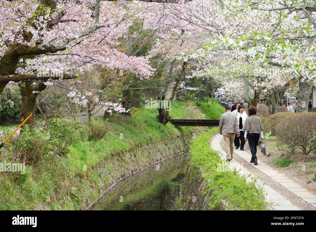 KYOTO, JAPAN - APRIL 16, 2012: People visit Philosopher's Walk (or Philosopher's Path) in Kyoto, Japan. The cherry blossom lined trail is a major Japa Stock Photo