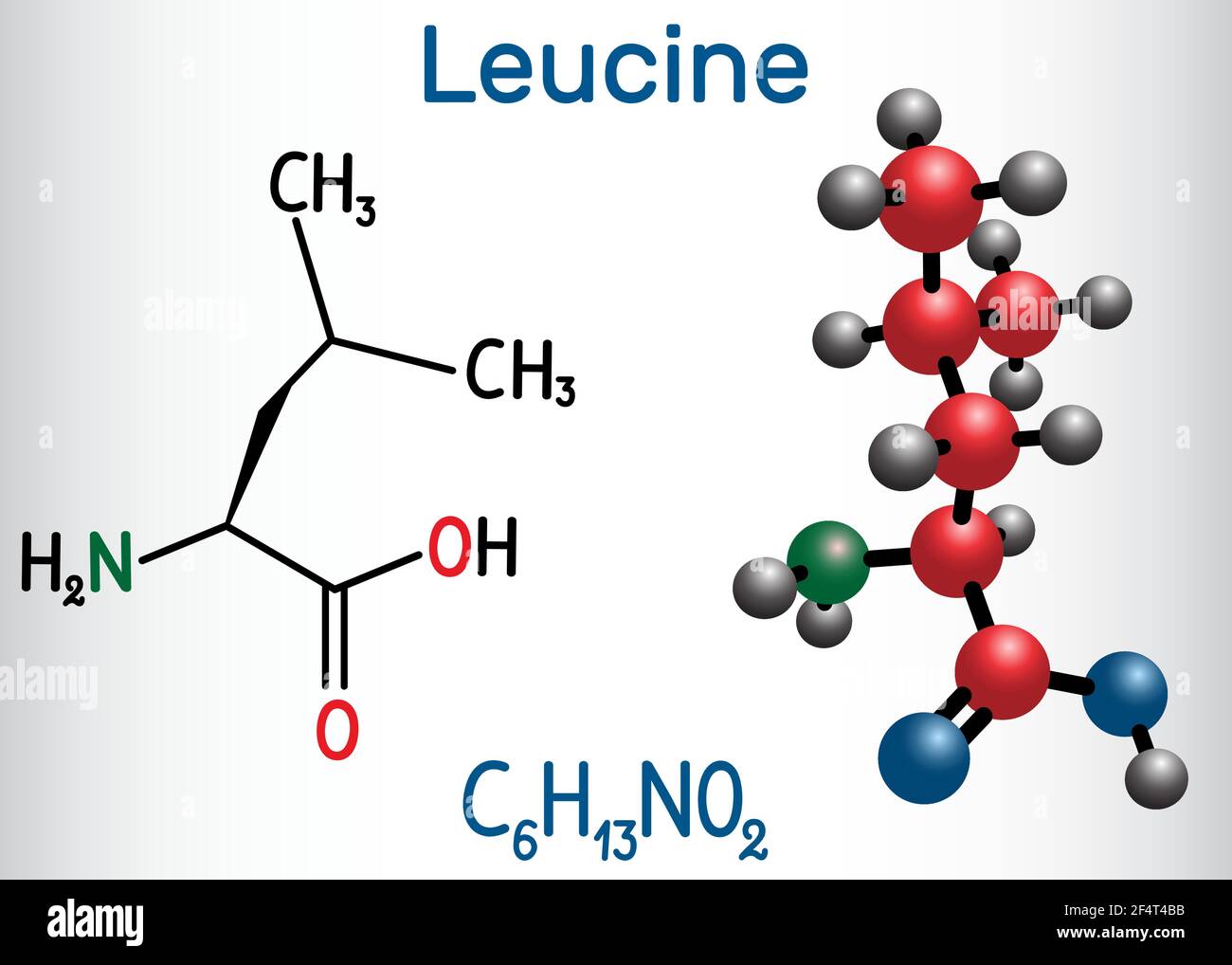 Structural Formula For Leucine