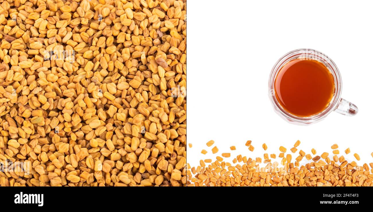 Fenugreek Tea Cup Trigonella foenumgraecum Stock Photo Alamy