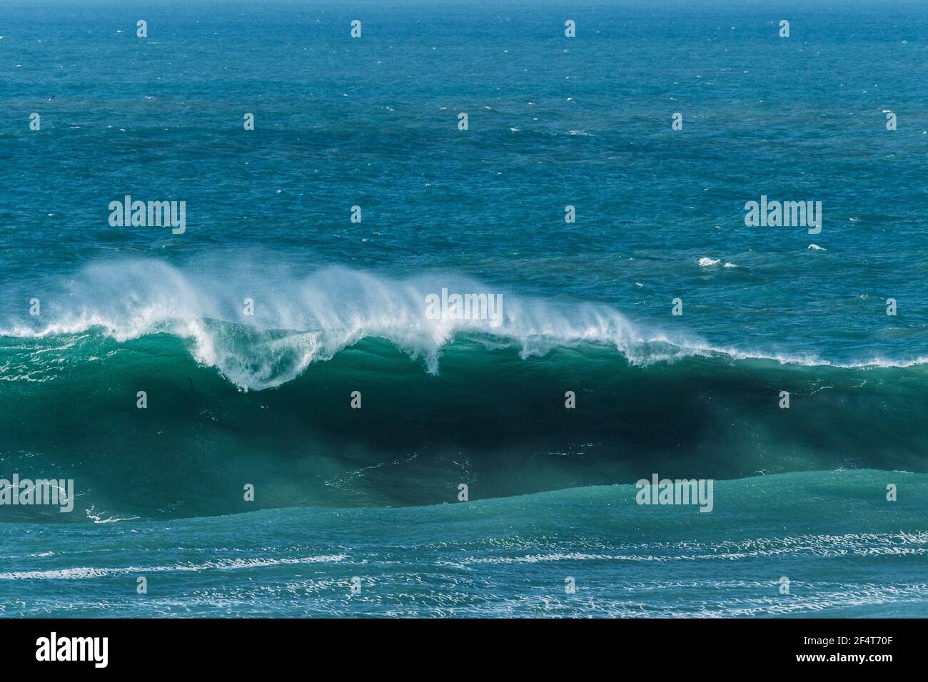 A large wave breaking on the Cribbar Reef in offshore winds in Newquay