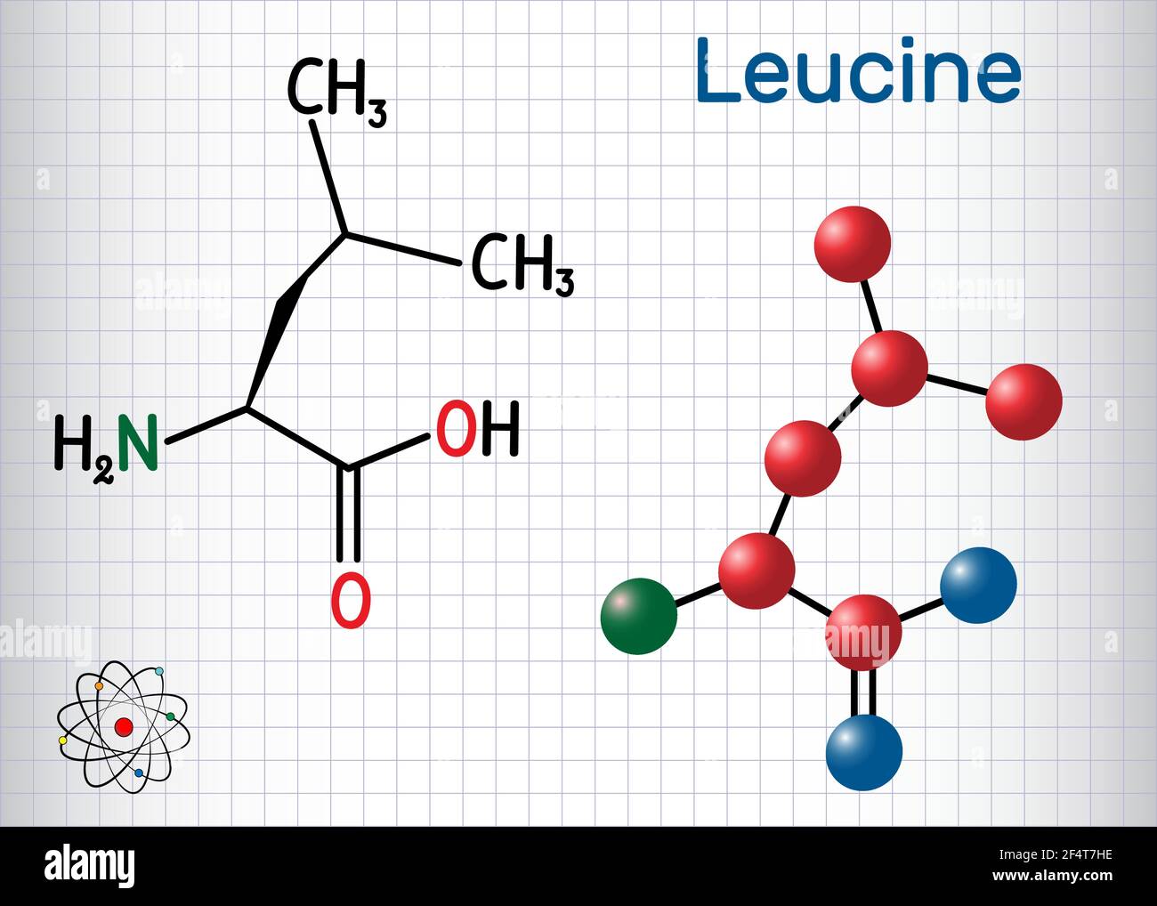 Leucine ( L- leucine, Leu, L) molecule. It is essential amino acid ...