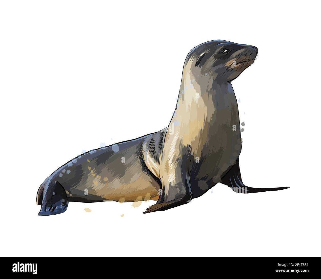 Sea lion realistic sketch set Royalty Free Vector Image