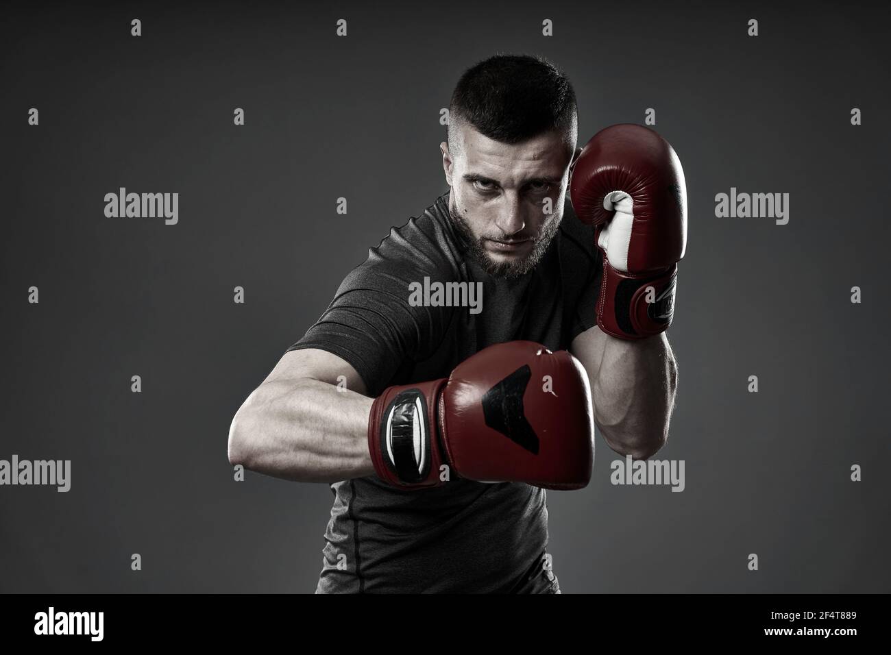 MMA fighter training, studio shot isolated on gray background Stock Photo