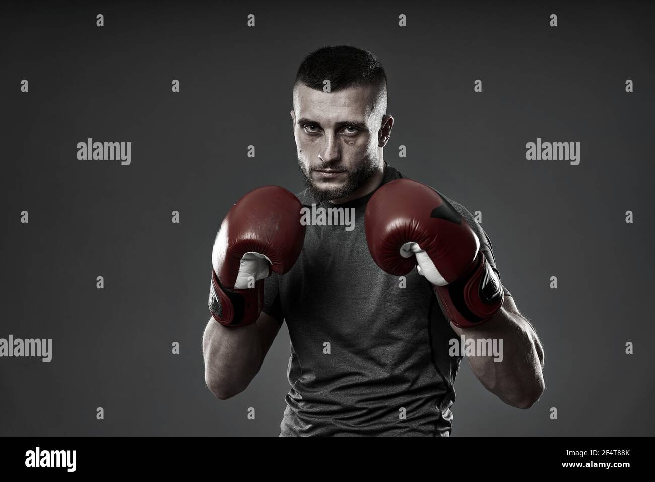 MMA fighter training, studio shot isolated on gray background Stock Photo