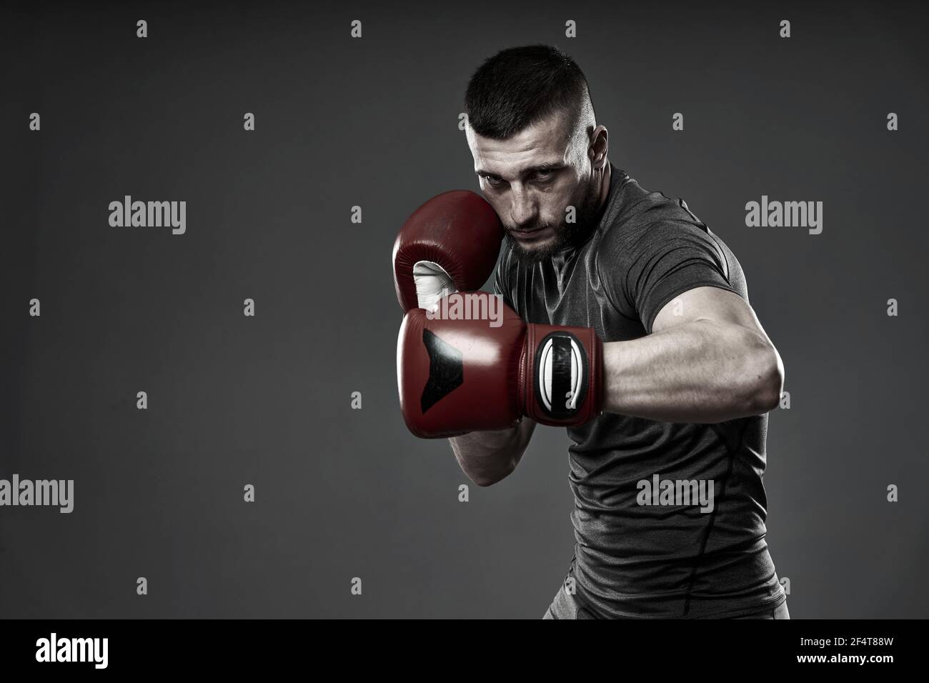 MMA fighter training, studio shot isolated on gray background Stock Photo