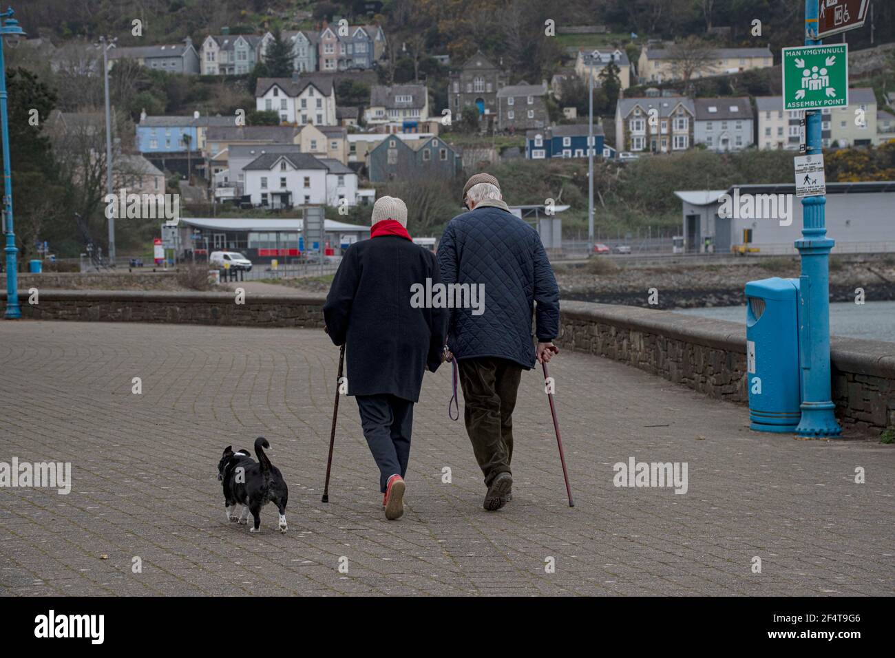 Fishguard, Pembrokeshire, uk . 23rd March  2021. As cooler weather aproaches 22mp winds  blow in from the south as dog walkiers take in the sea  air on daily exercise . Credit: Debra Angel/Alamy Live News Stock Photo