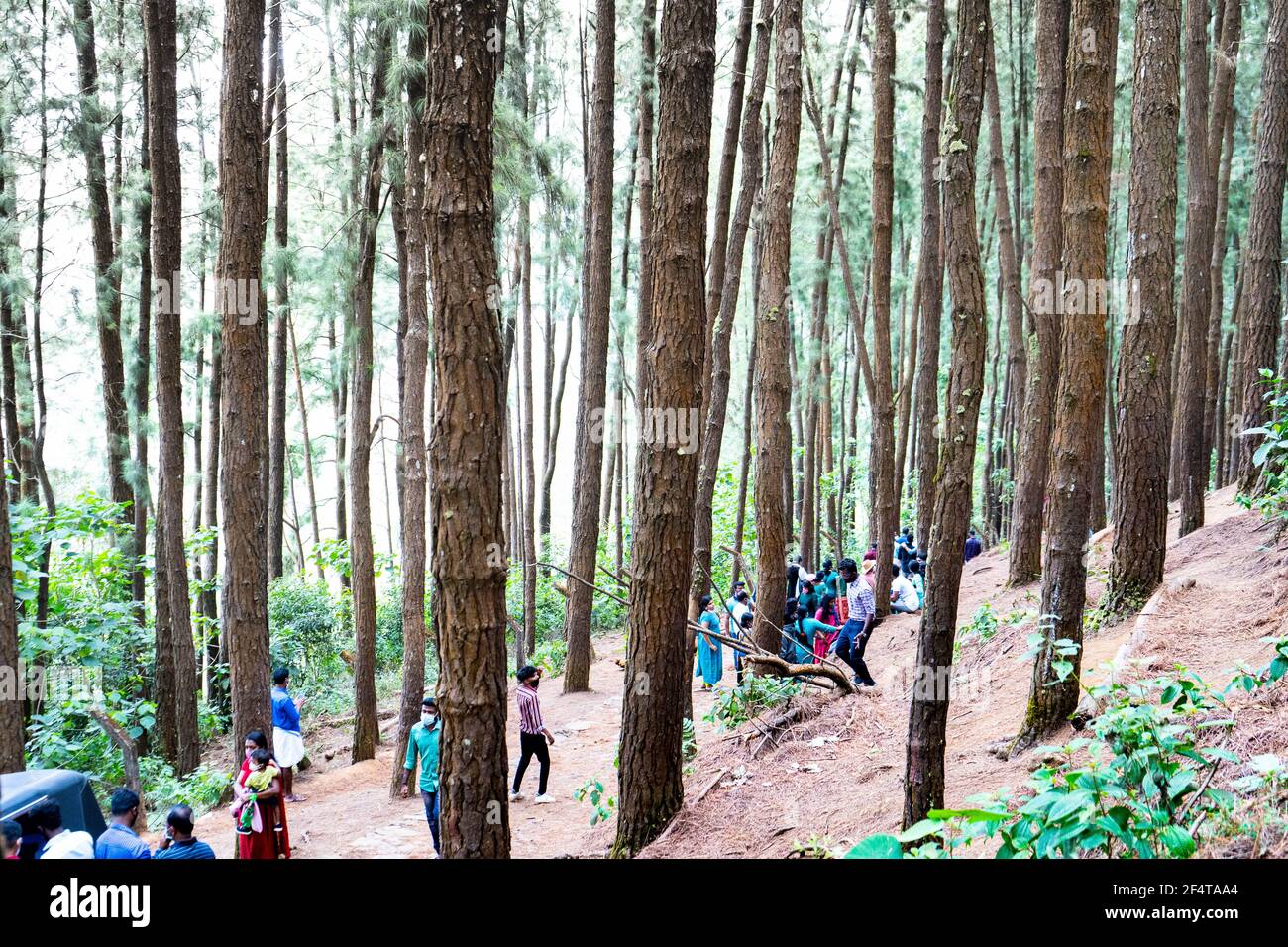 Vagamon view point hi-res stock photography and images - Alamy