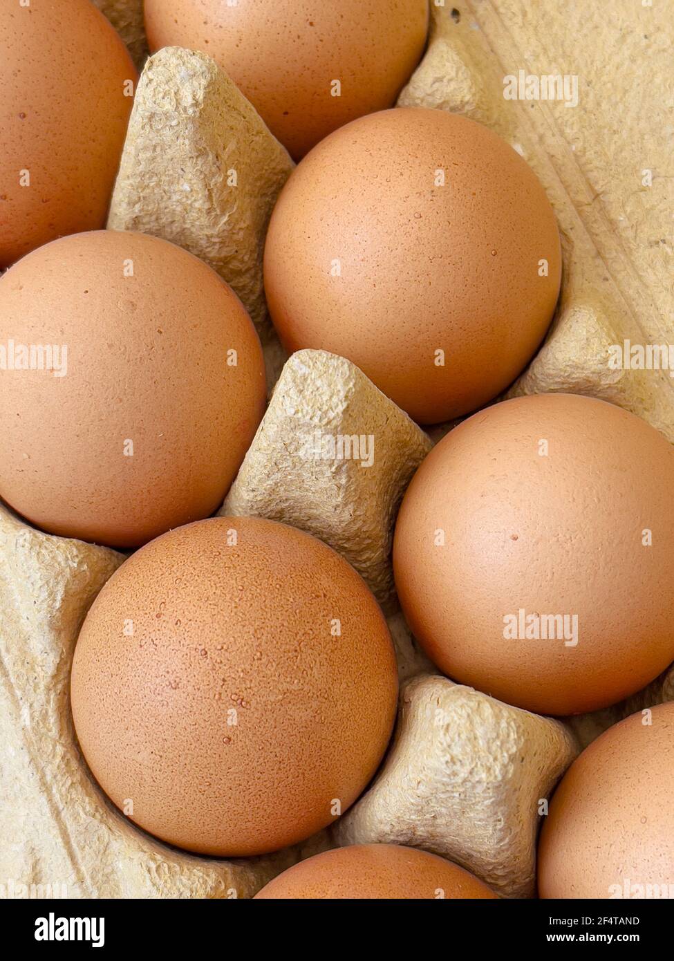Brown eggs in cardboard egg box. Top view of raw organic chicken eggs in carton. Stock Photo