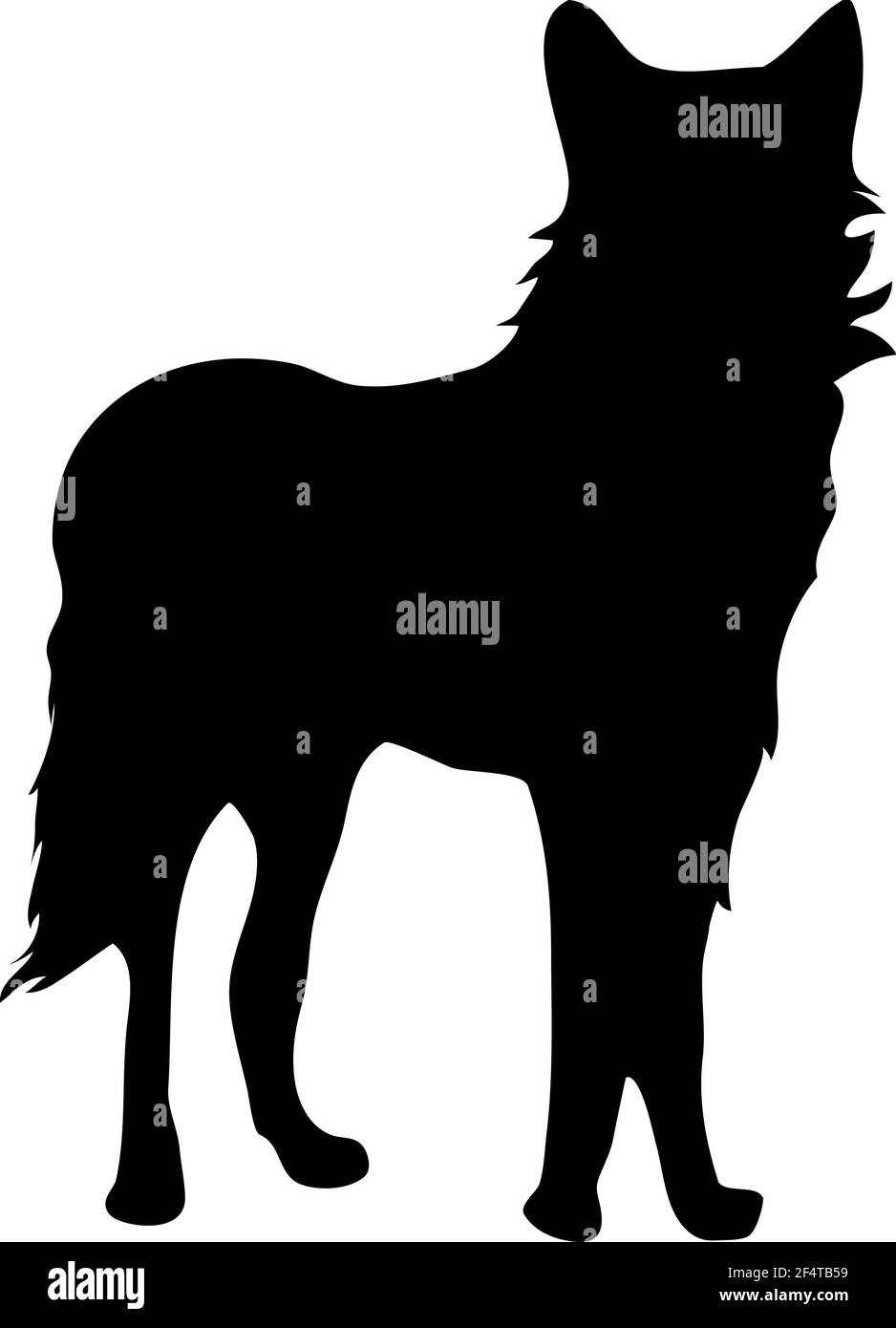 Dingo silhouette. Smooth and clean lines. High detailed Dingo silhouette. Vector Illustration. Stock Vector