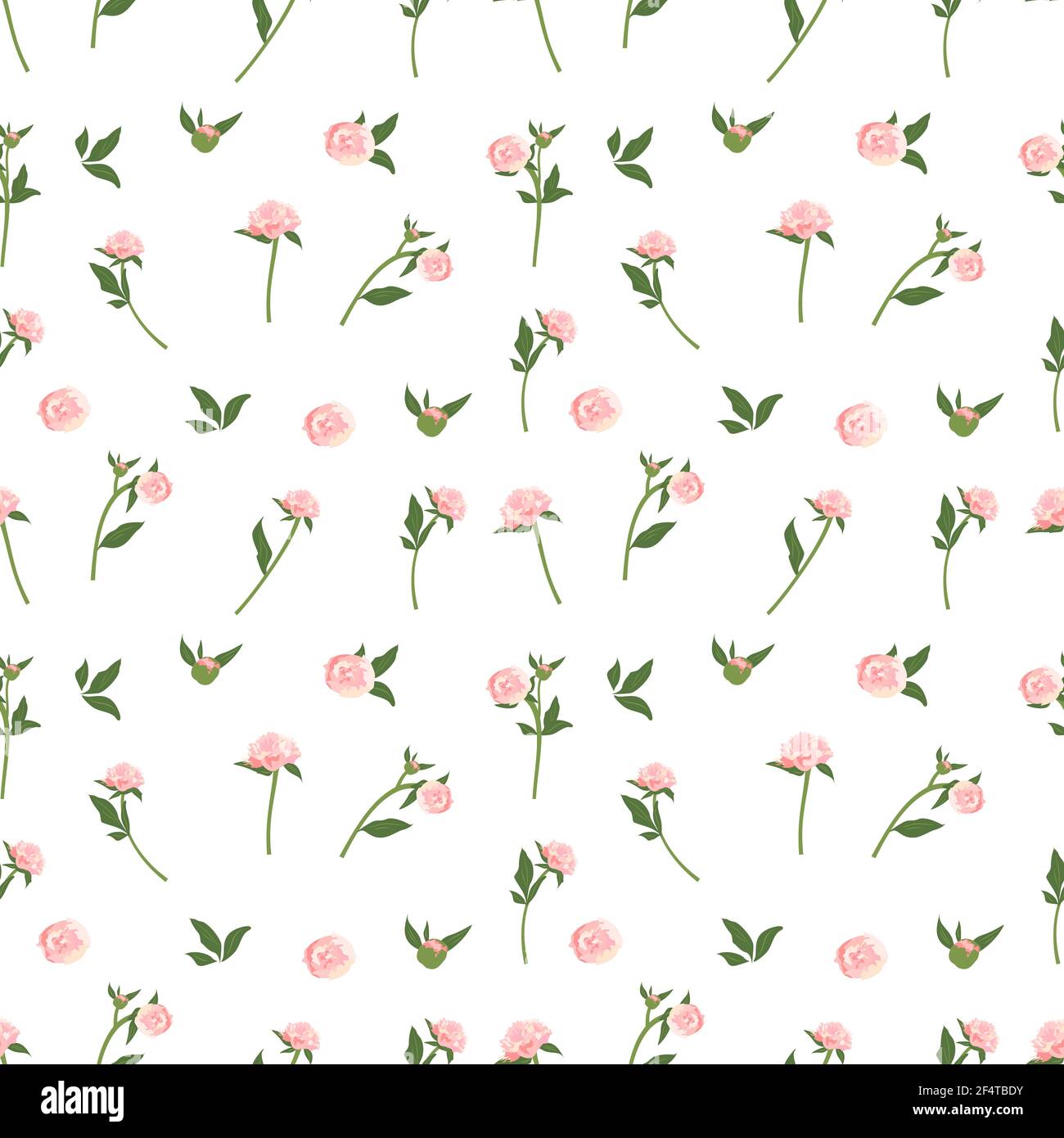 Delicate seamless pattern with peonies Stock Vector Image & Art - Alamy