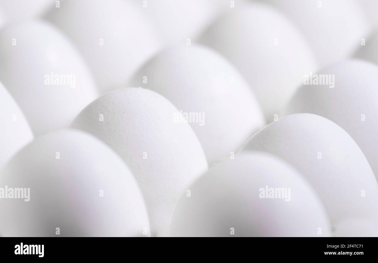 A lot of white fresh eggs in a cardboard box, Natural Eko Product, Trendy Abstact background Stock Photo