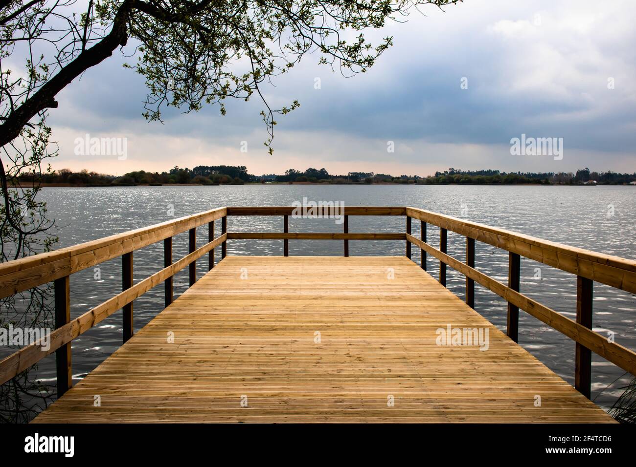 Lagoa da Vela, Portugal. View of lagoon and distant land from empty wooden pier in the morning golden light with tree branches frame on the left Stock Photo