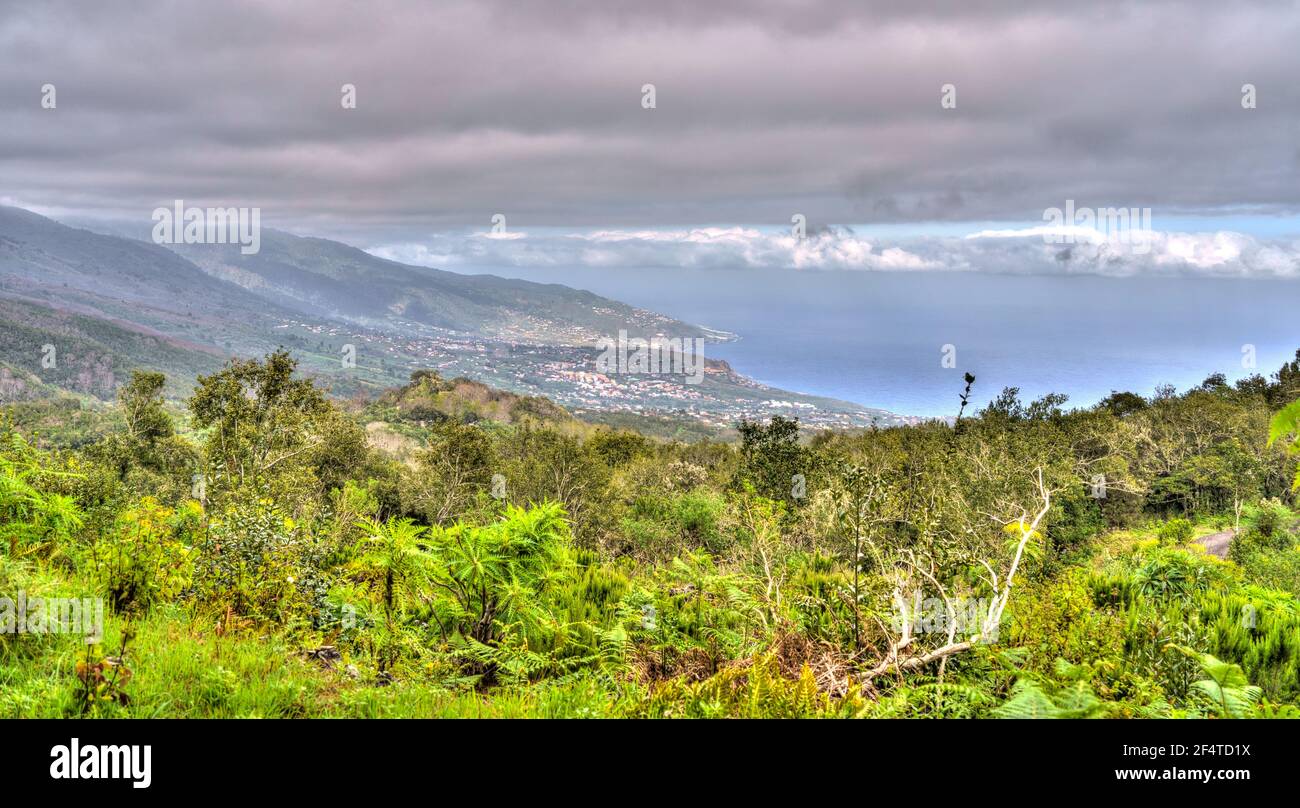 Volcanic landscape on La Palma island Stock Photo - Alamy