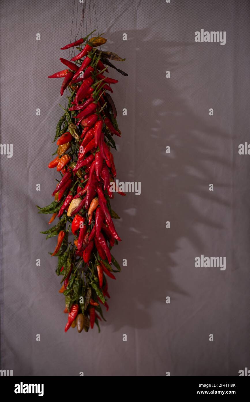 Closeup shot of a bunch of red hot chili peppers hanging and drying on ...
