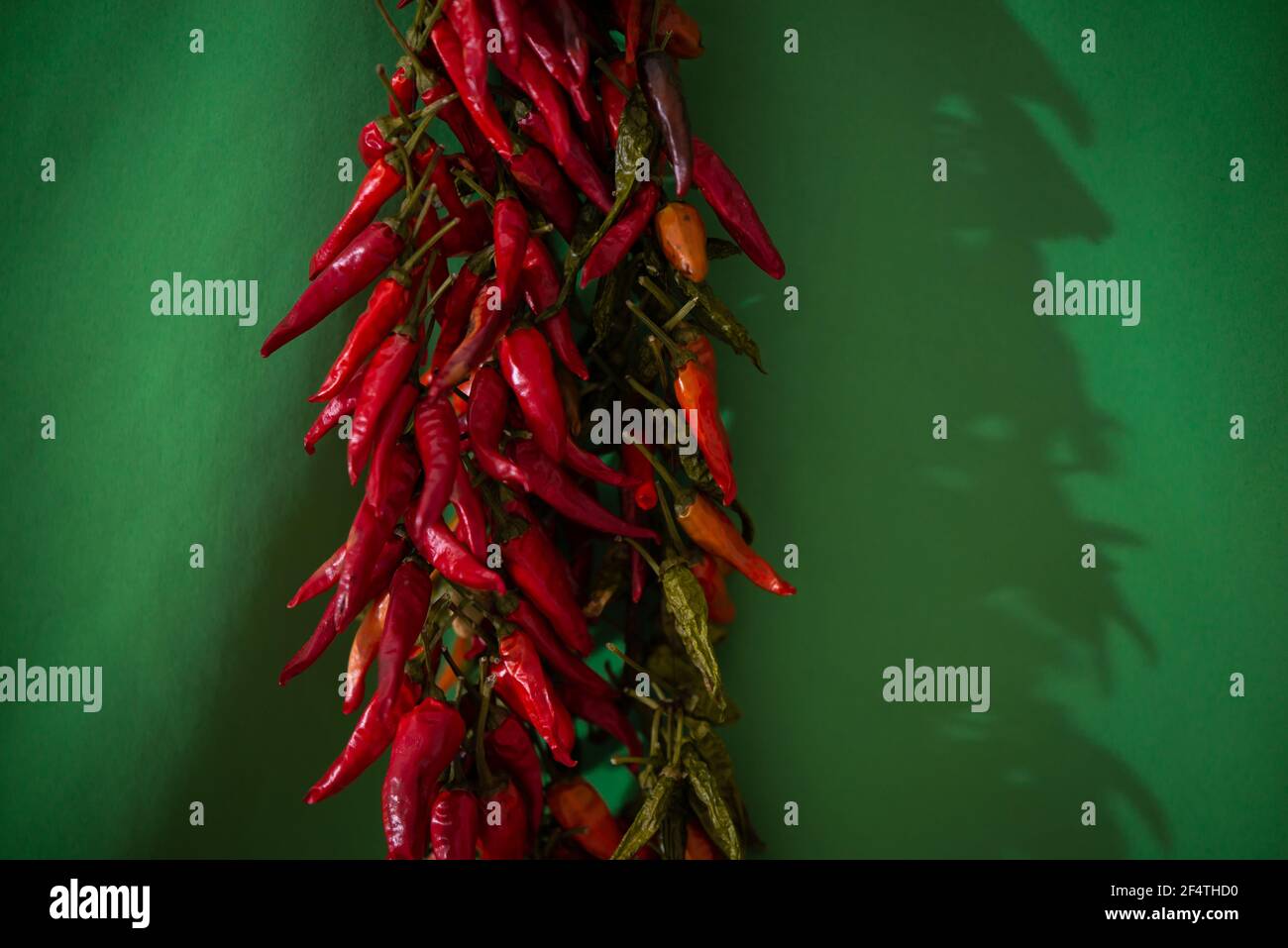 Closeup shot of a bunch of red hot chili peppers hanging and drying on ...
