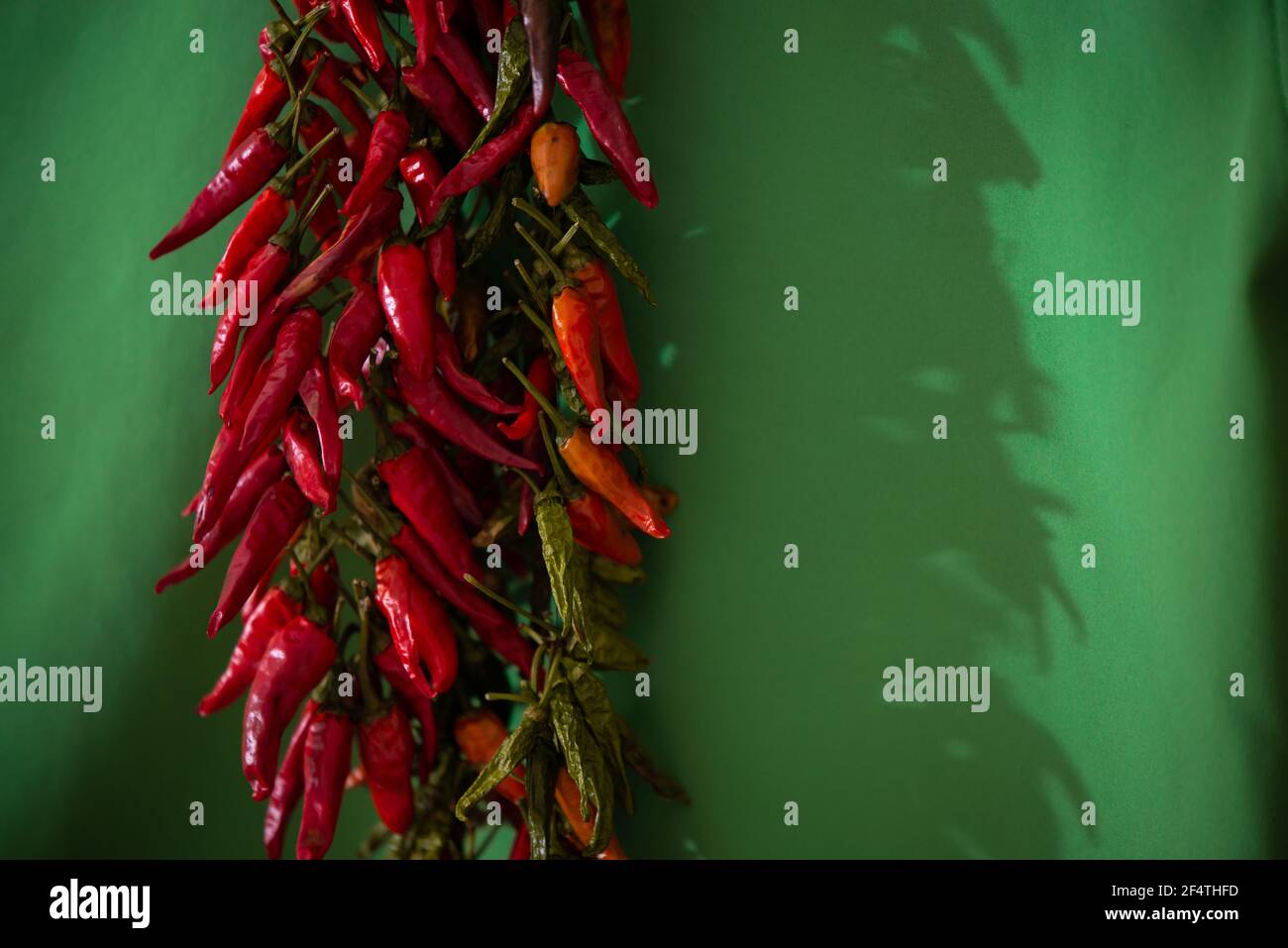 Closeup shot of a bunch of red hot chili peppers hanging and drying on ...