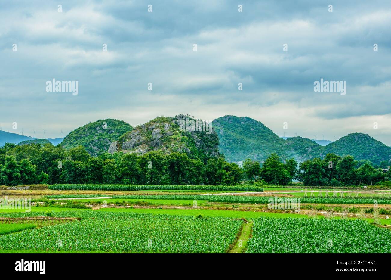Countryside scenery in spring Stock Photo