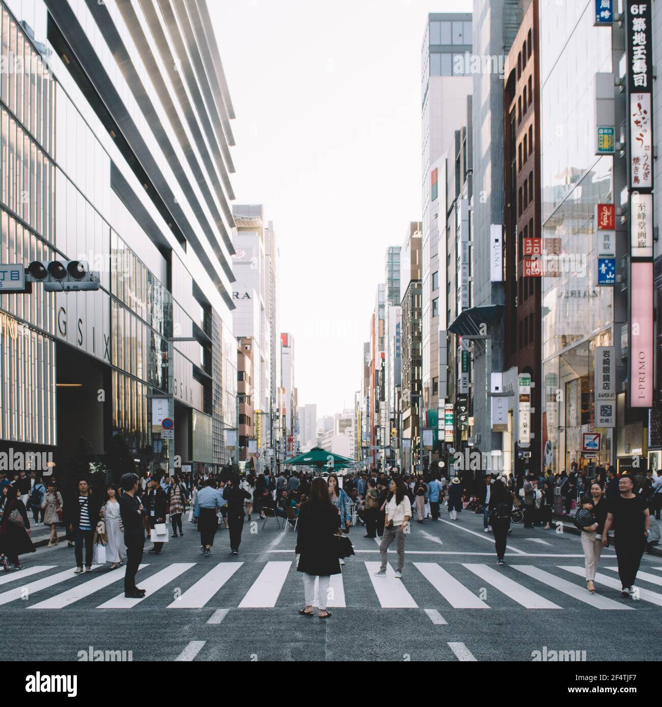 Japan, Tokyo City, Ginza district, Chuo Dori, Louis Vuitton Shop Stock  Photo - Alamy