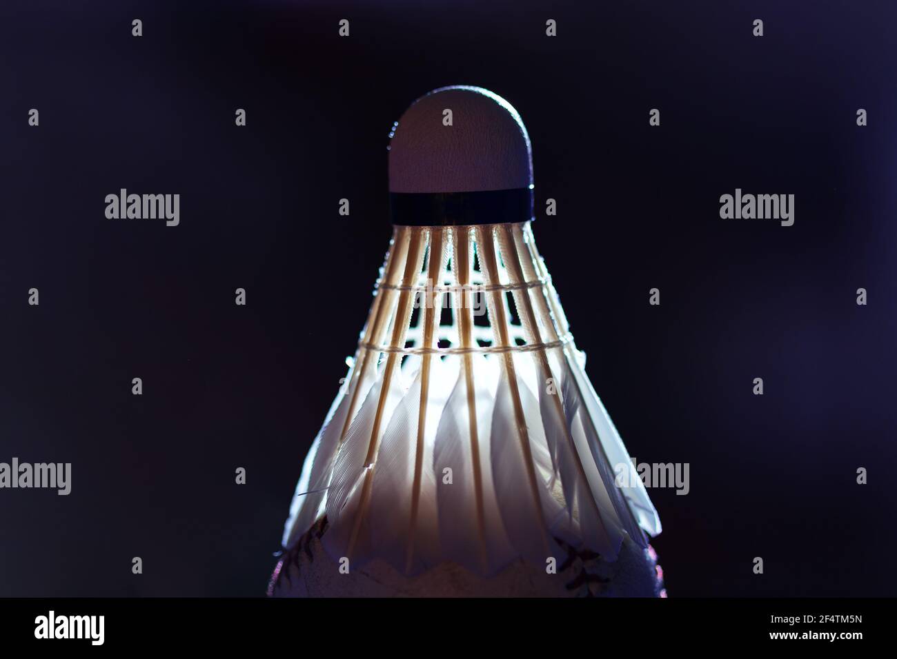 Shuttlecock made by feathers in dim light . Goose Feather Badminton  Shuttlecocks with Great Stability Stock Photo - Alamy