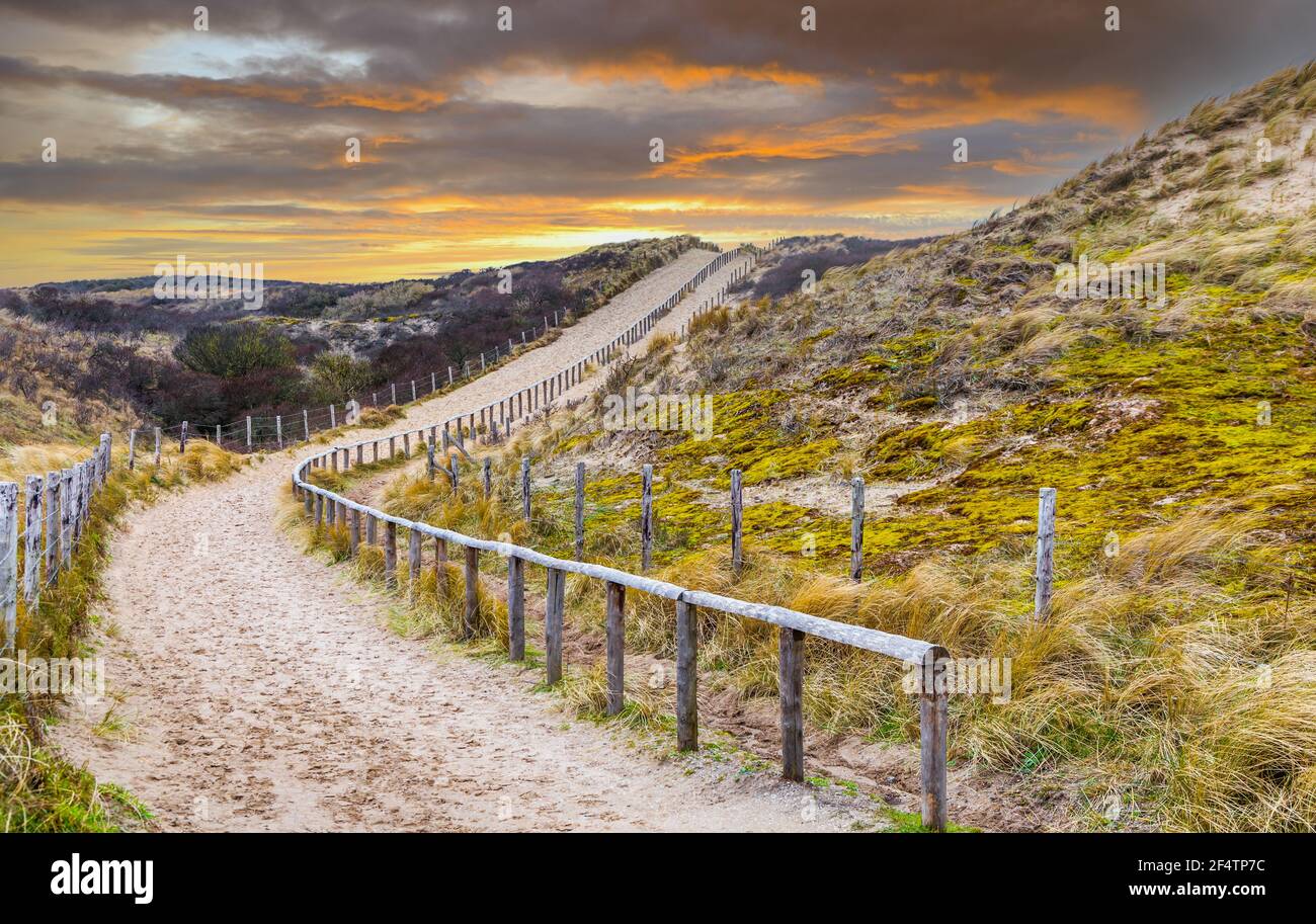 Sunset beach entrance Hollands Duin seen from the crossing with Zeeweg towards the beach with accompanying fences along a steep climb to the top of th Stock Photo