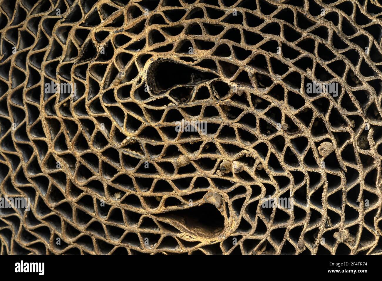 Macro shot of a metal strip catalyst made of heatresistant chrome