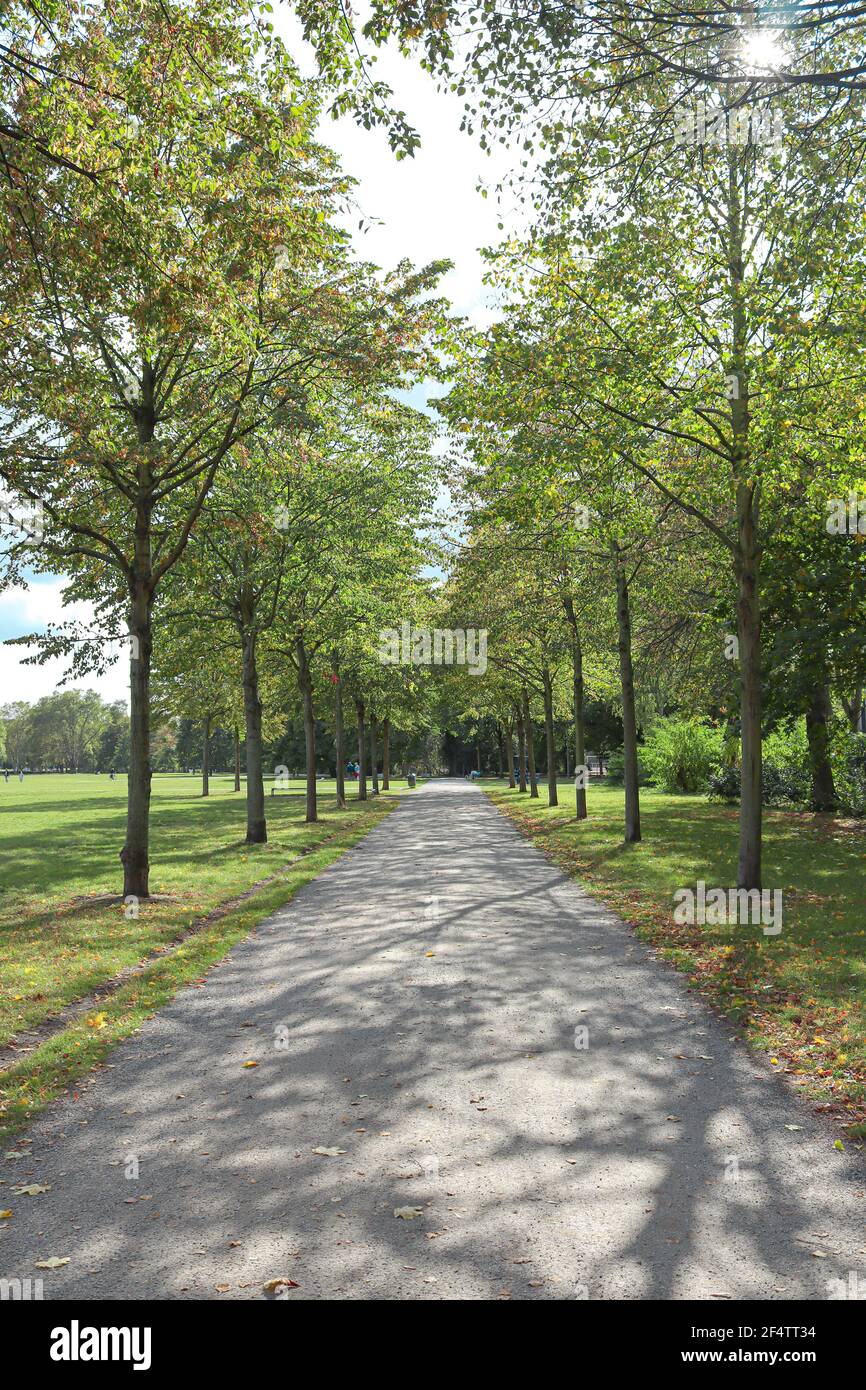 Beautiful HiroshimaNagasaki Park during spring, view of the walking path, Cologne, Germany
