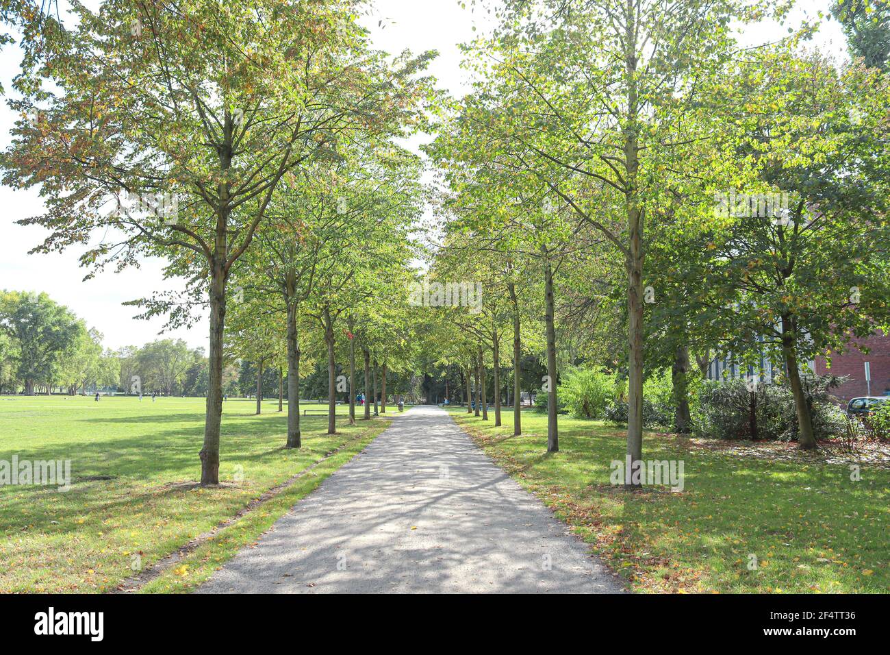 Beautiful HiroshimaNagasaki Park during spring, view of the walking path, Cologne, Germany