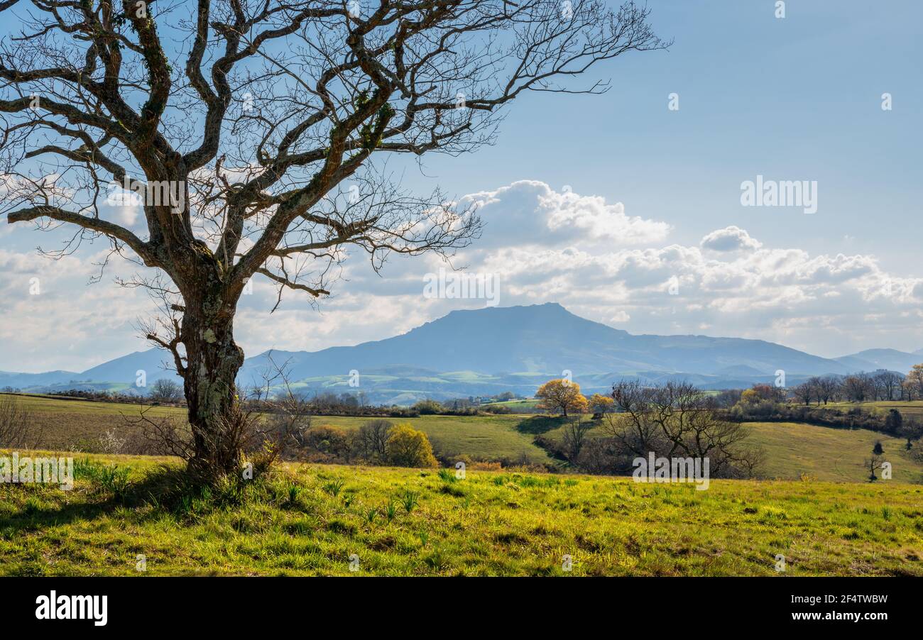 La Rhune mountain in the Basque Country, France Stock Photo