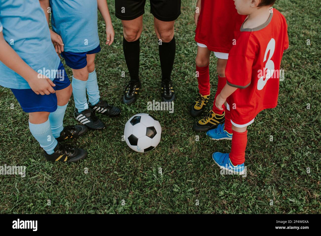 Football players and referee standing around ball on soccer field. Crop image of referee and children wearing blue and red soccer dresses. Stock Photo