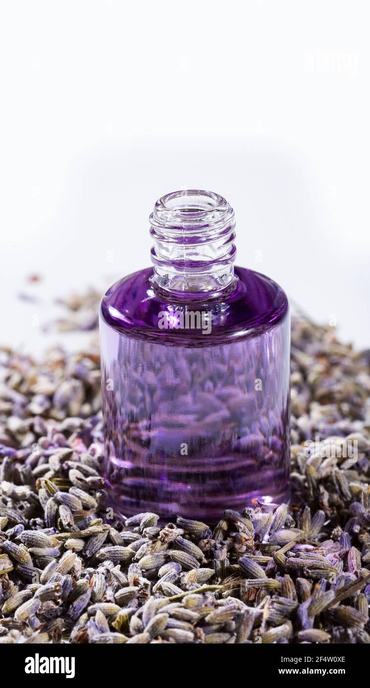 Dropper bottle of lavender essential oil, glass jar of dry lavender flowers,  bunches of dry lavender. Jars of different dry medicinal herbs on  background. Alternative medicine. Stock Photo