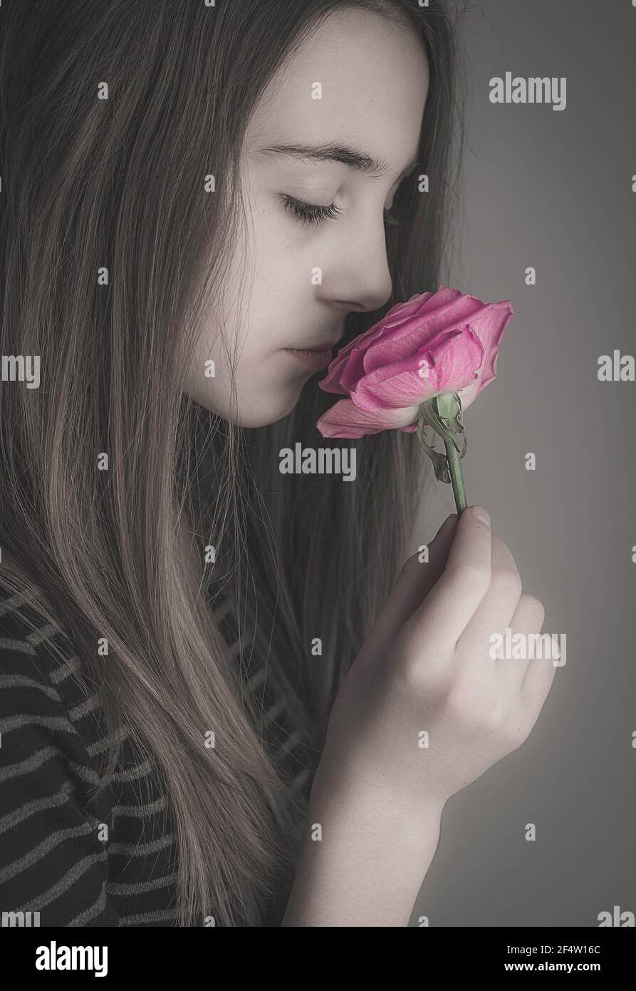 Portrait of a beautiful young, brunette girl smelling rose Stock Photo