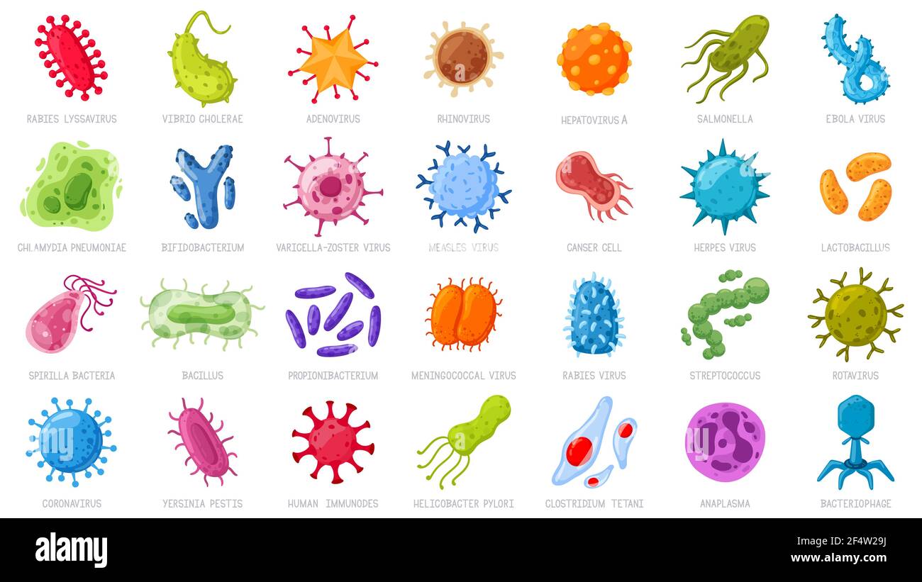 Cartoon viruses and microbes. Disease causing germs, coronavirus and rotavirus. Bacterial infection microorganisms vector illustration icons set Stock Vector