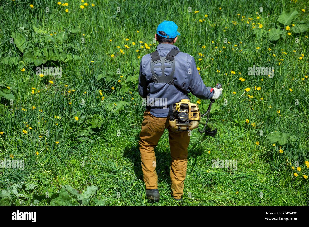 Lawnmower worker man cutting green grass at summer daylight with two-cycle engine string trimmer in Russia. Stock Photo