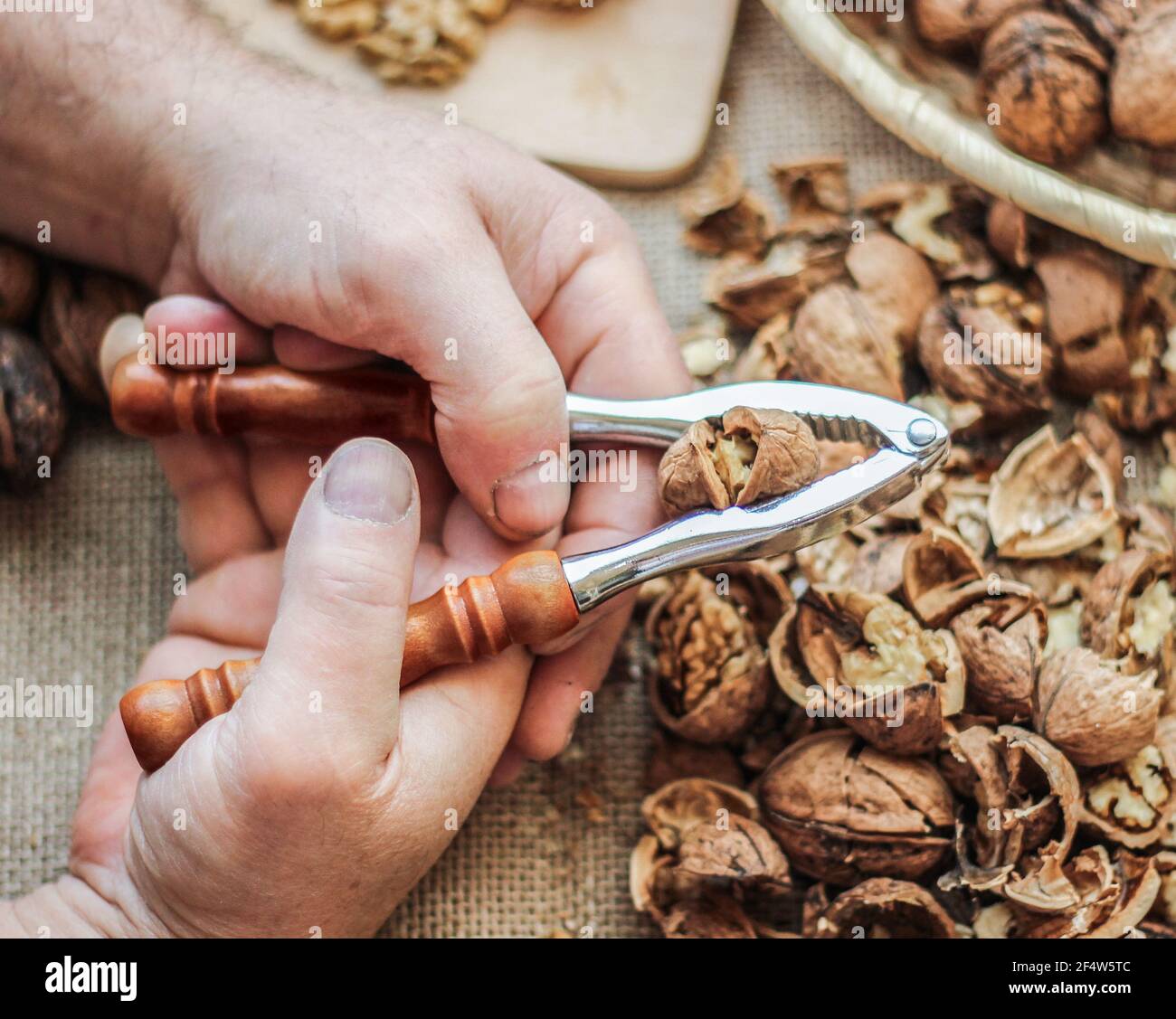 The walnut cracker Stock Photo Alamy